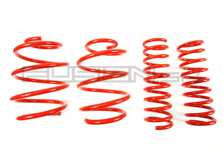 [Obr.: 95/51/96-znizene-pruziny-performance-springs-mtsxbm080-1686848127.jpg]